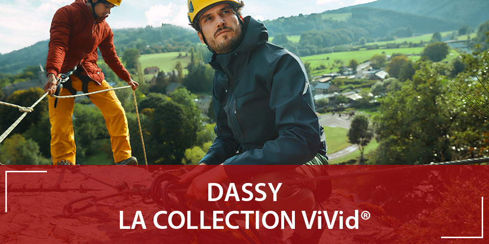 Collection Dassy ViVid